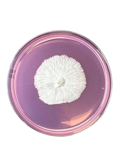 200g de mezcla para experimentos de laboratorio