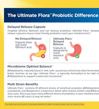 31 cepas probióticas para equilibrio microbiota