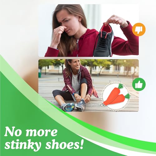 absorbe humedad en zapatos