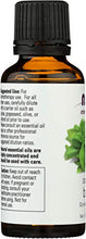 aceite de albahaca como aceite portador