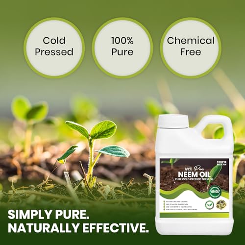aceite de neem prensado en frío