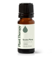 aceite esencial de pino escocés puro