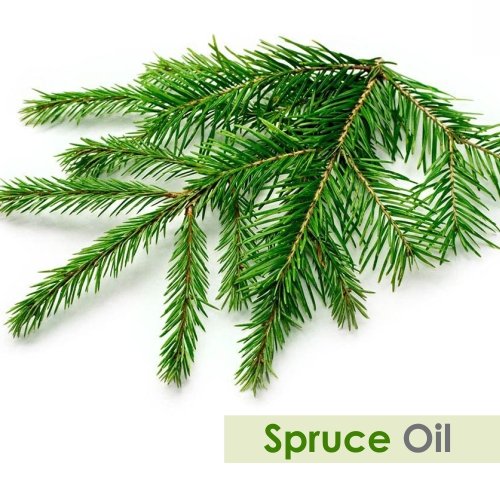 aceite esencial de pino para difusores