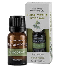 aceite esencial puro eucalipto SpaRoom
