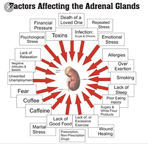 adrenal miracle para mayor resistencia física