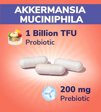 Akkermansia Muciniphila para salud intestinal