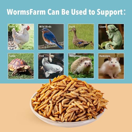 Alimento natural para aves saludables