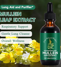 Alivio natural de mucosidad con Mullein