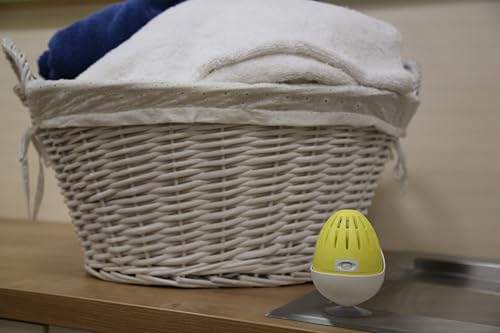 almacenamiento de huevos fácil y seguro