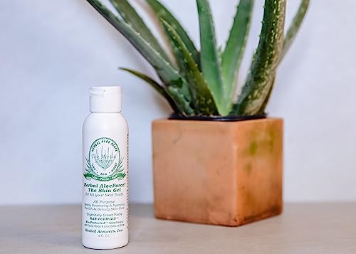 aloe vera para cuidado diario