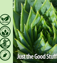 Aloe Vera sin OGM para salud