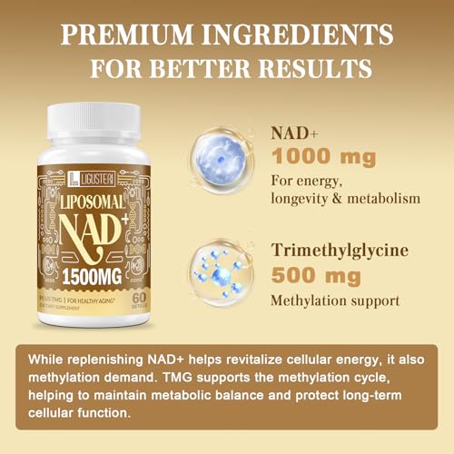 alta absorción de 1500 MG