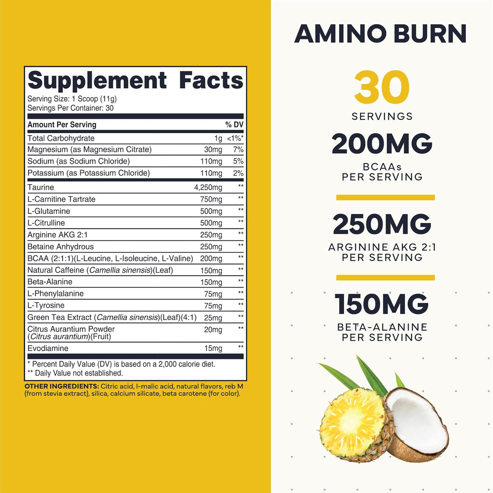 Amino Burn BCAA Vegano Type Zero