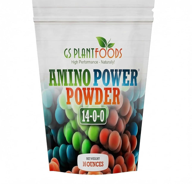 Amino Power L-Glutamina en polvo