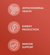 Aminoácidos Dr. Mercola Glutatión