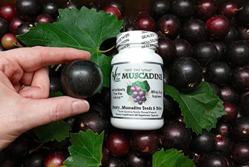 antioxidantes para fortalecer el sistema inmunológico