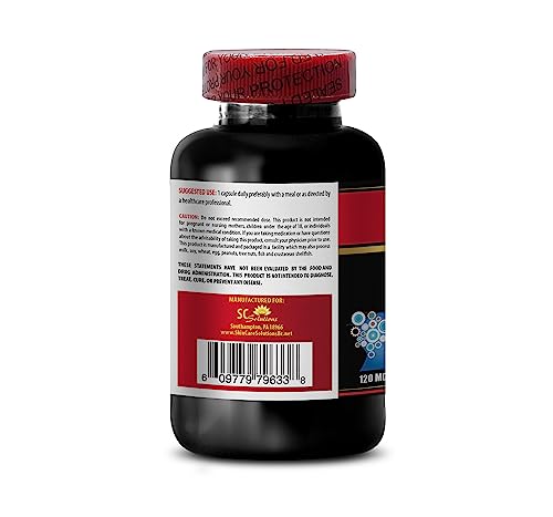 apoyo cerebral con extracto de ginkgo