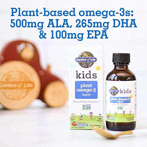 apoyo cerebral con omega-3