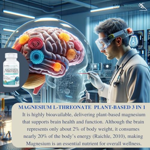 Apoyo cognitivo con Magbrain Kappa