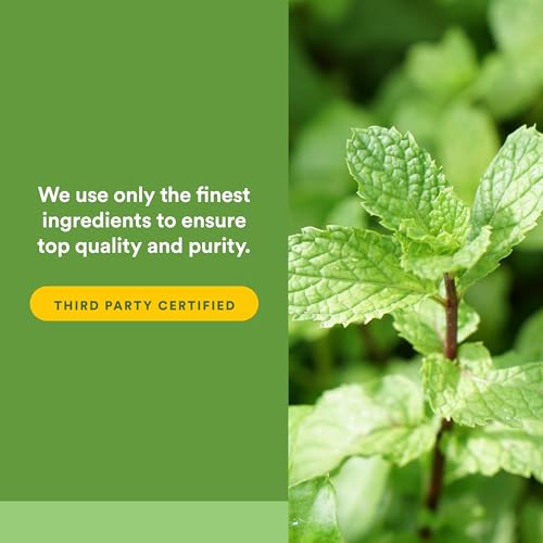 apoyo digestivo con menta natural