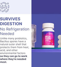 apoyo digestivo con probióticos Bacillus