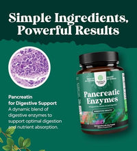 apoyo digestivo natural con enzimas pancreáticas