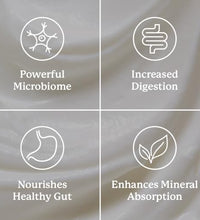 Apoyo digestivo natural con probióticos
