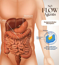 apoyo en la absorción de nutrientes
