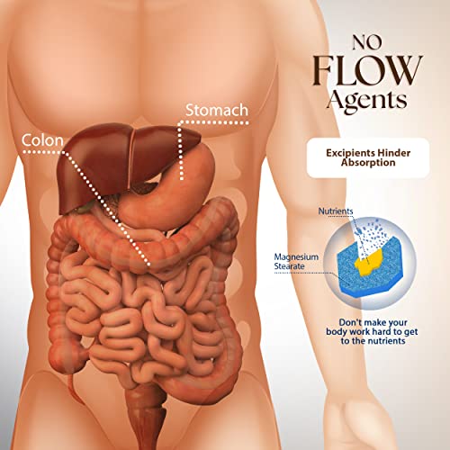apoyo en la absorción de nutrientes
