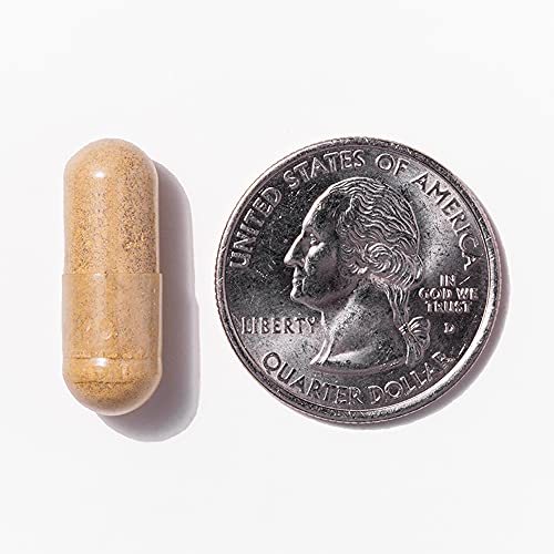 apoyo inmunológico con Mag-D ProCare