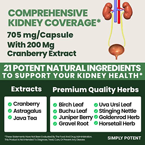 Apoyo renal con astrágalo y enebro
