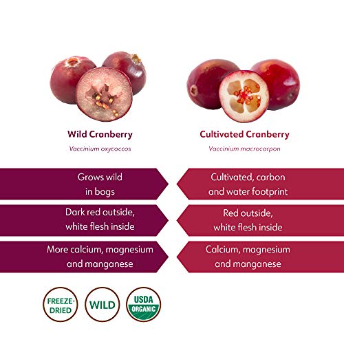 Arándano orgánico sin OGM