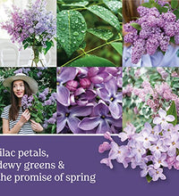 aroma duradero de lilas