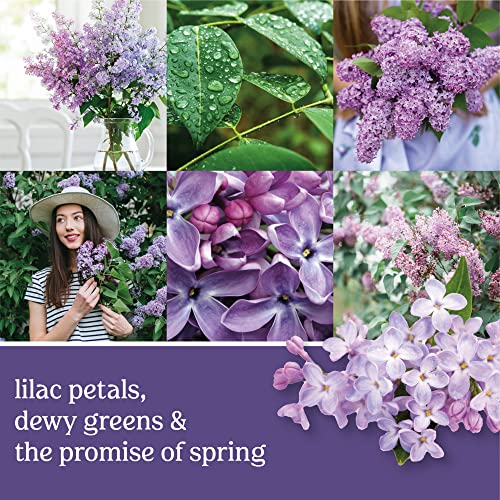 aroma duradero de lilas