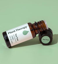 aroma terapéutico de árbol de té