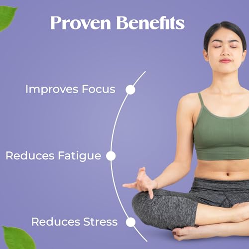 ashwagandha para mejorar la energía diaria