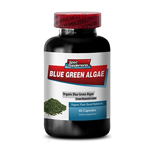 Aumenta energía con Algas Verdeazul