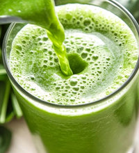 Aumenta energía con moringa
