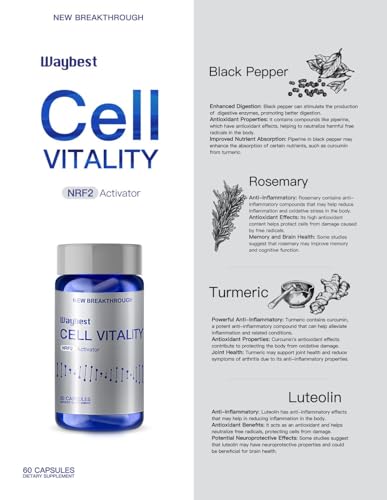 aumenta tu defensa antioxidante con Waybest