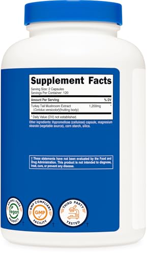 Aumenta tu energía con hongo nutritivo