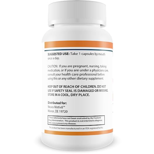 Aumenta tu enfoque con Neuro 24