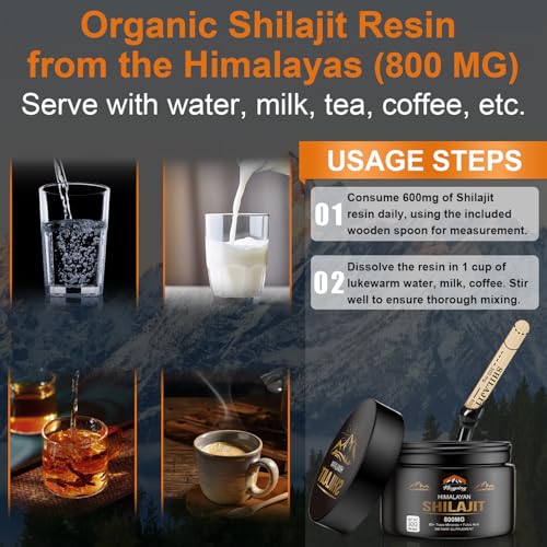 Aumenta tu vitalidad con Shilajit