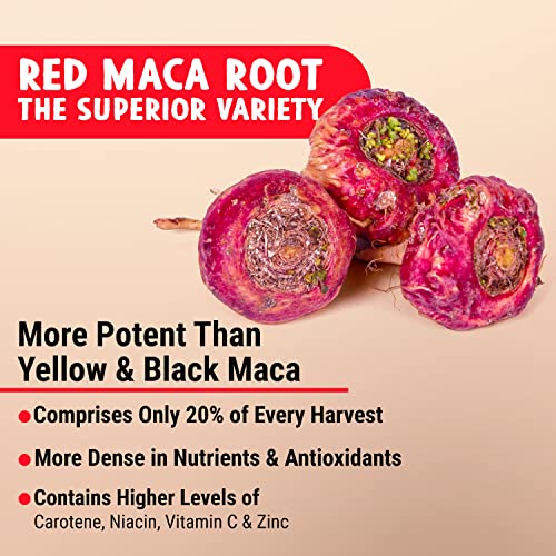 aumento de muslos con maca roja