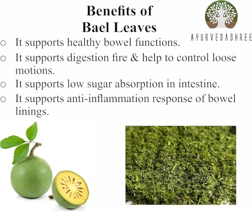 Ayurvedashree para bienestar intestinal