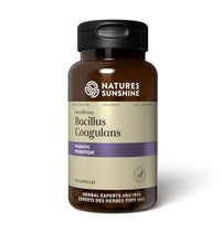 Bacillus Coagulans para mejorar digestión
