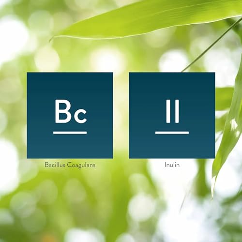 Bacillus Coagulans para salud intestinal