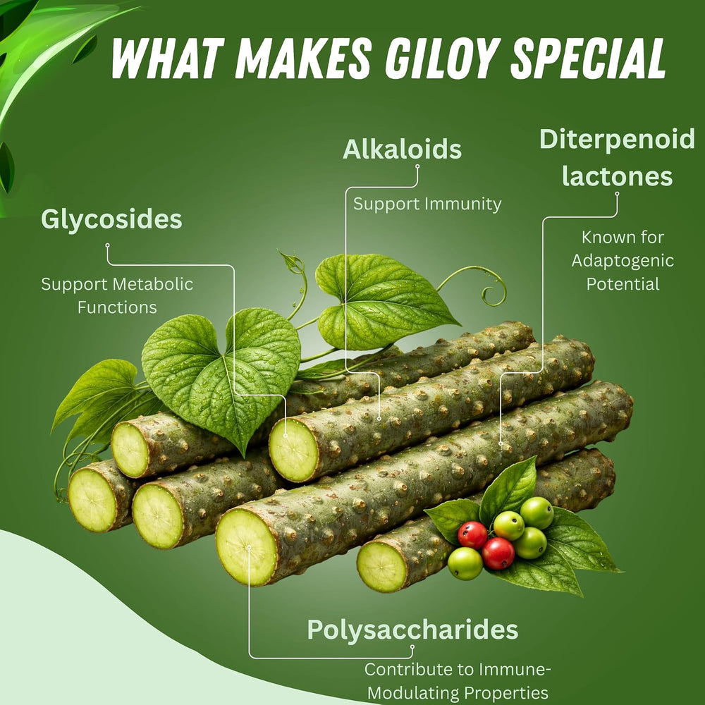 BASIC AYURVEDA Giloy 7.05 oz