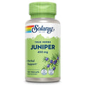 bayas de junípero para digestión saludable