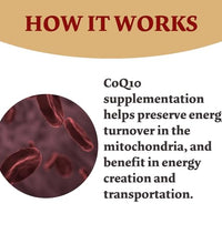 Beneficios antioxidantes de CoQ10