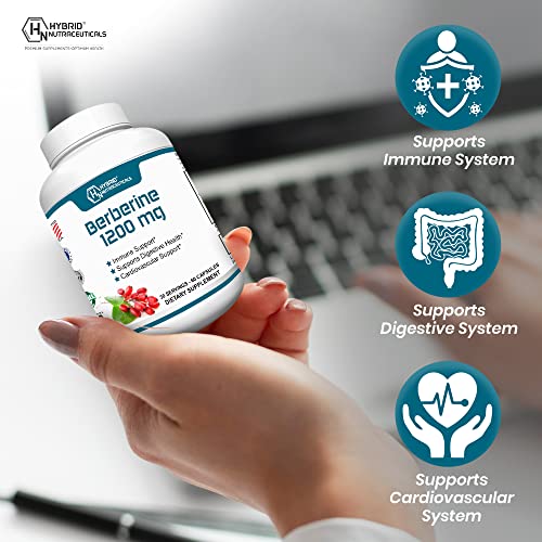 Beneficios de berberina para el bienestar